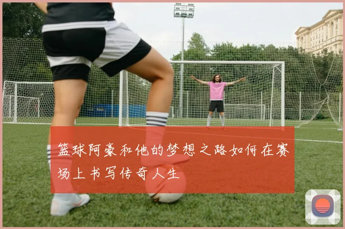 篮球阿豪和他的梦想之路如何在赛场上书写传奇人生