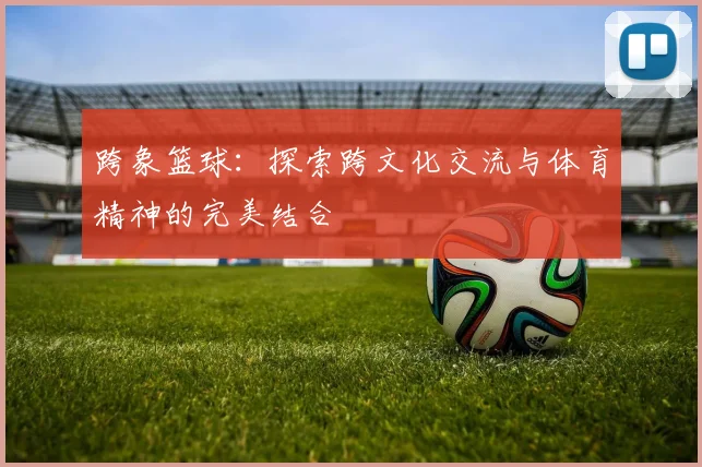 跨象篮球：探索跨文化交流与体育精神的完美结合