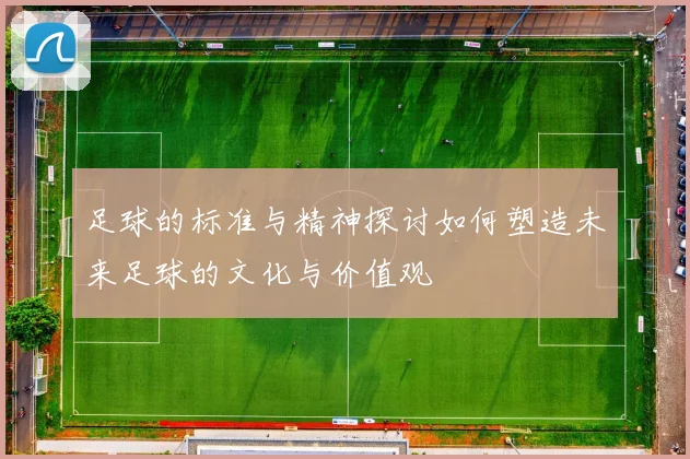 足球的标准与精神探讨如何塑造未来足球的文化与价值观